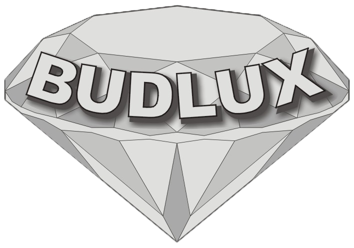 Logo firmy Budlux Gliwice wpisane w grafikę szarego diamentu, oferującej usługi budowlane i sklep ogólnobudowlany.